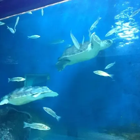 Piscine Proche Des Plages